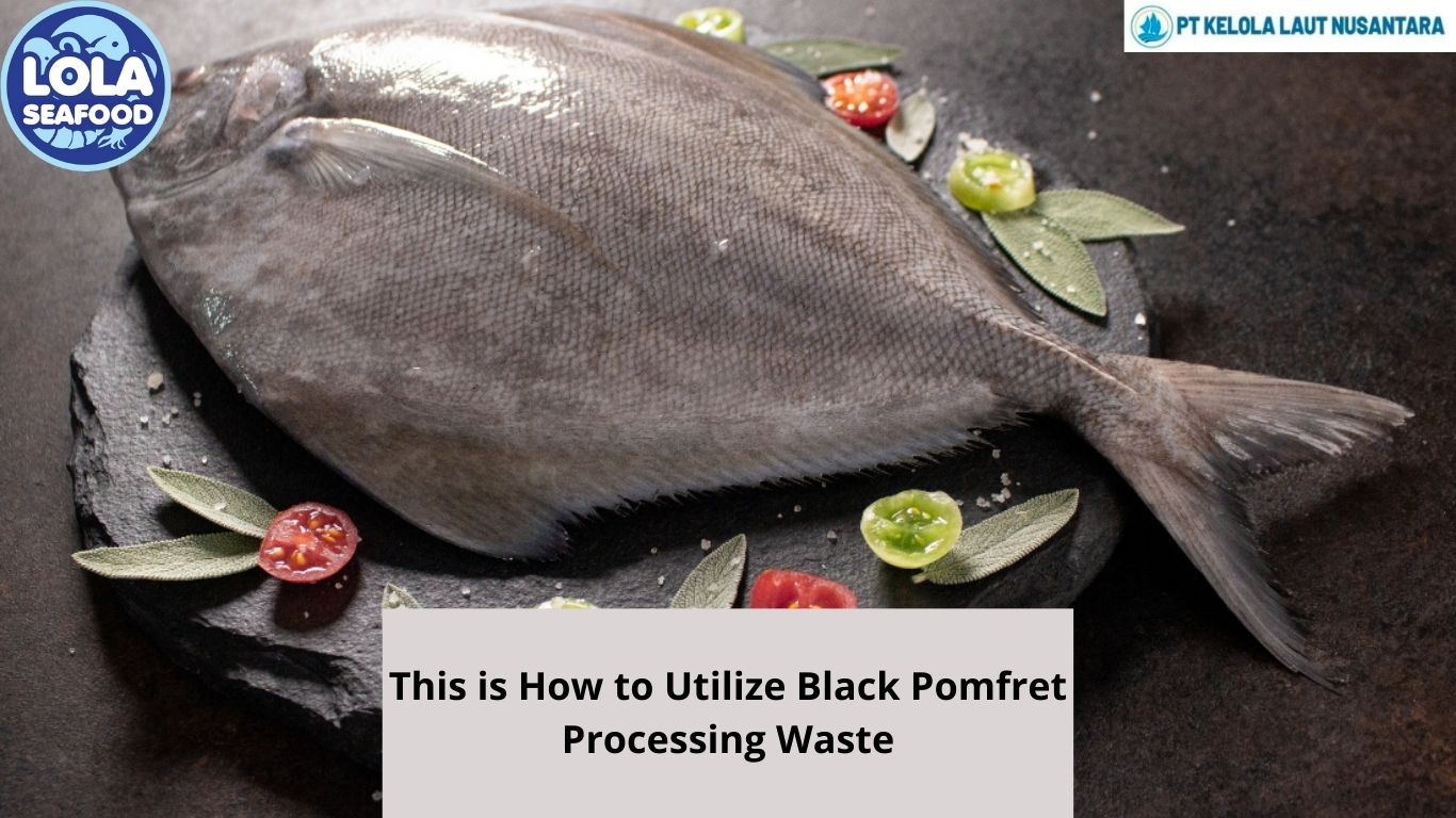 This is How to Utilize Black Pomfret Processing Waste